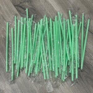 40 Count Bulk Mint Green Reusable Straws Individually Wrapped Tumbler